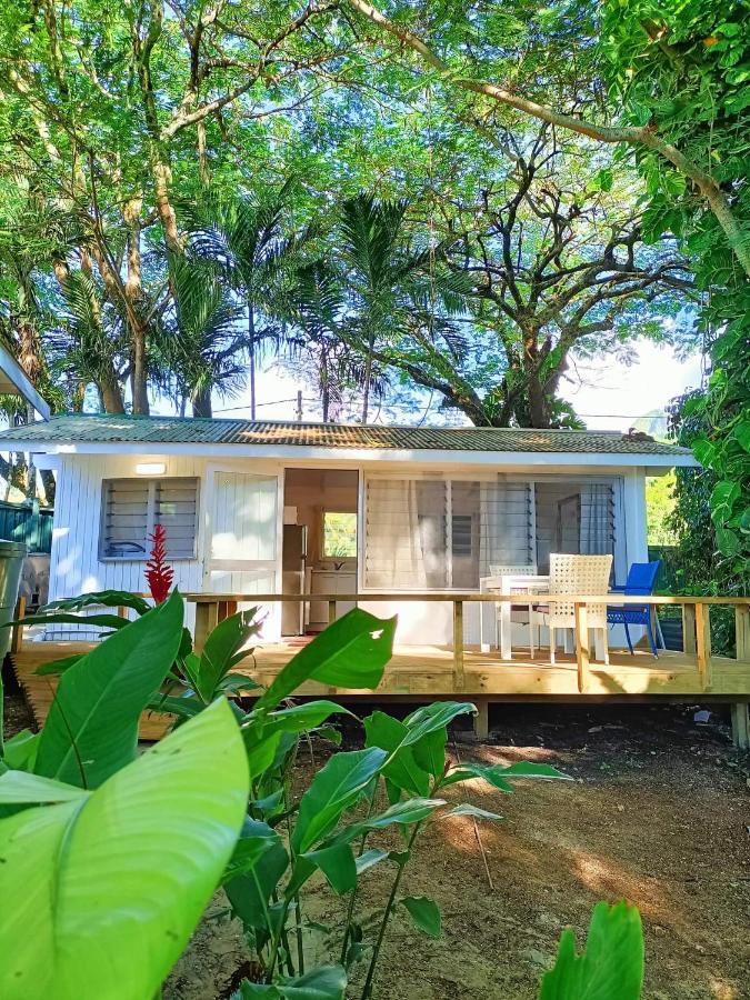 Are Tamareni 2Br Beach Cottage Or River Studio Avarua Bagian luar foto